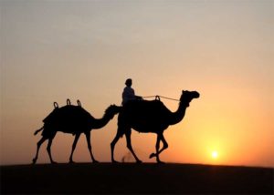 Praktikum in Dubai - Austauschorganisation Let's go abroad